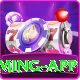 megapari.pk Elite Gaming App